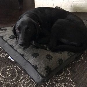 Meet your Posher, Shelli